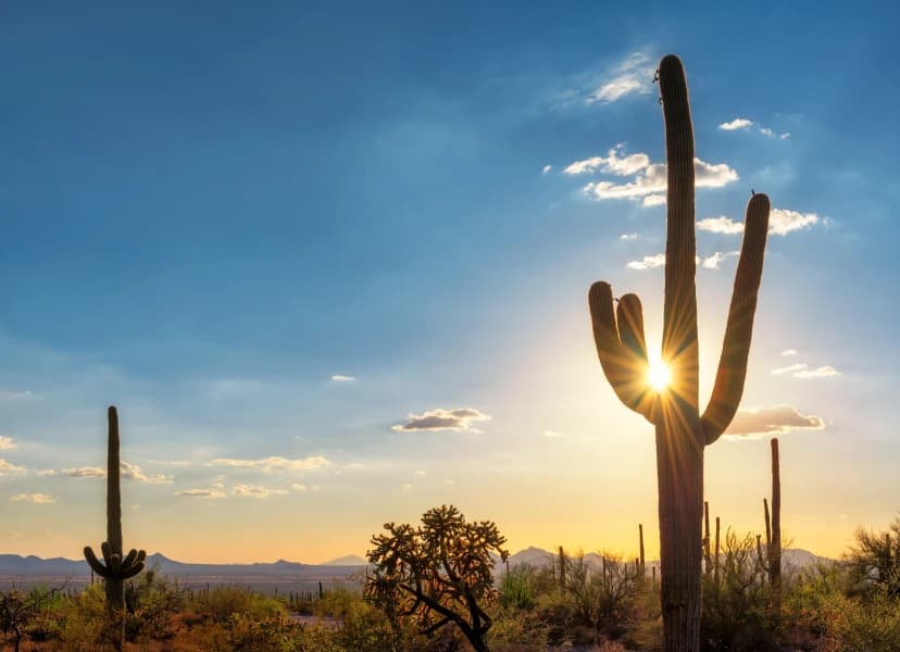 Phoenix, AZ