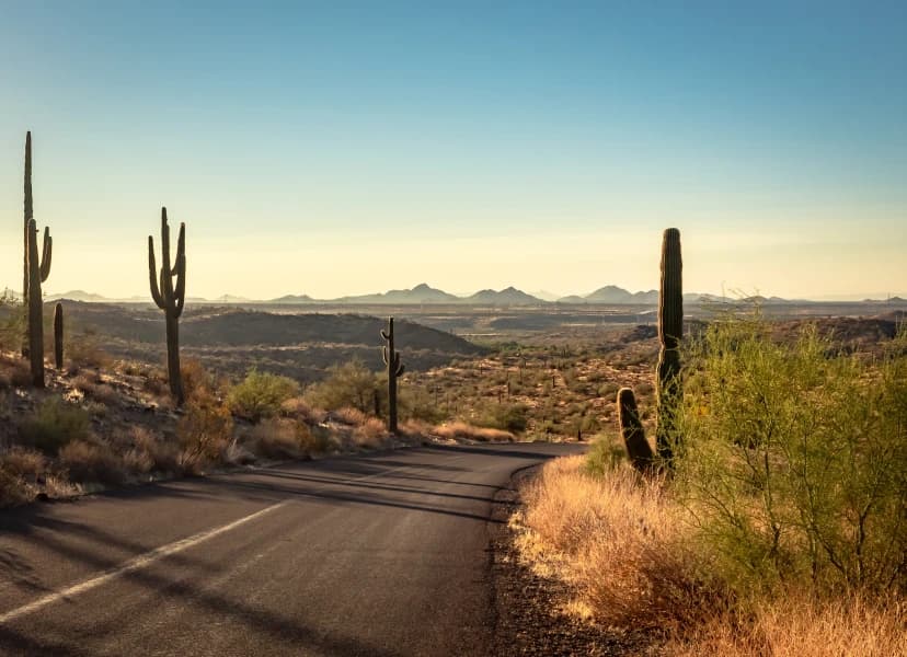 Tucson, AZ